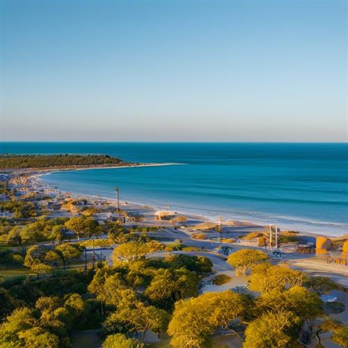 "佛罗里达旅游攻略：这个阳光之州的快乐自驾、悠闲时光、迷人沙滩和自然风光等你来探索！"